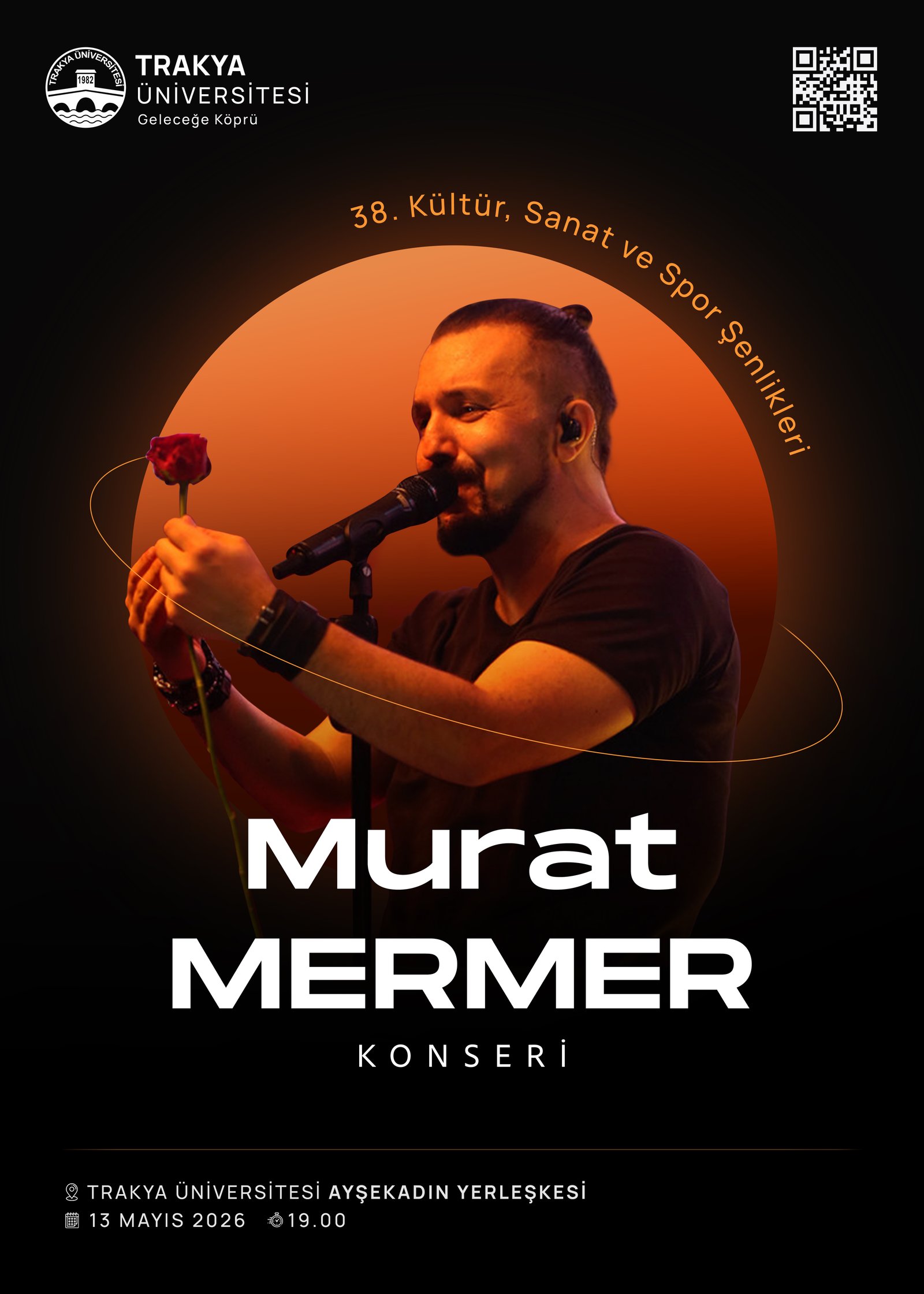 Sanatçı Posteri 4
